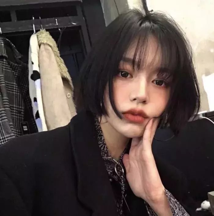 树袋熊